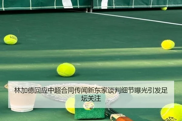 林加德回应中超合同传闻新东家谈判细节曝光引发足坛关注 - HTH